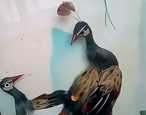 八十年代羽毛工艺画八十年代羽毛工艺画，吉祥...