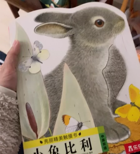 小兔比利(中英双语)/亮丽精美触摸书系列 ...