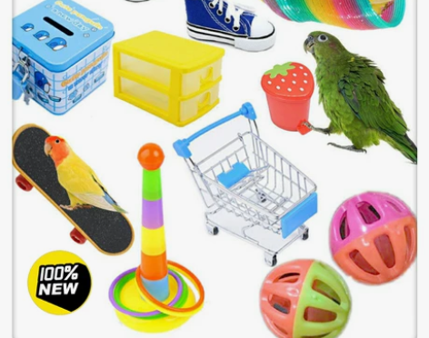 新款鹦鹉鸟玩具组合套装品套圈滑板推车球啃咬...