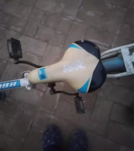 儿童自行车，适合八九岁的小朋友骑，牌子贝贝...