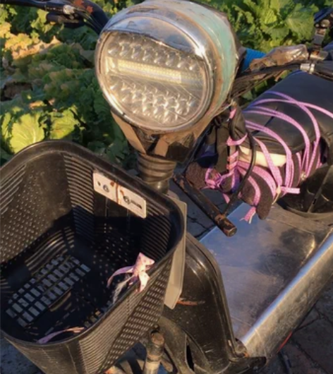 珍品收藏，世界唯一，大长座 感兴趣的话点“...