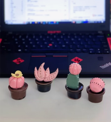 景德镇带回来的陶瓷小摆件 仙人掌，多肉系列...