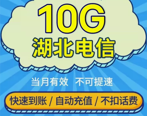 湖北电信10G 通用流量包  全国通用叠加...