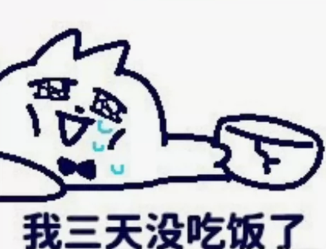 软件安装，程序软件安装，环境配置，java...