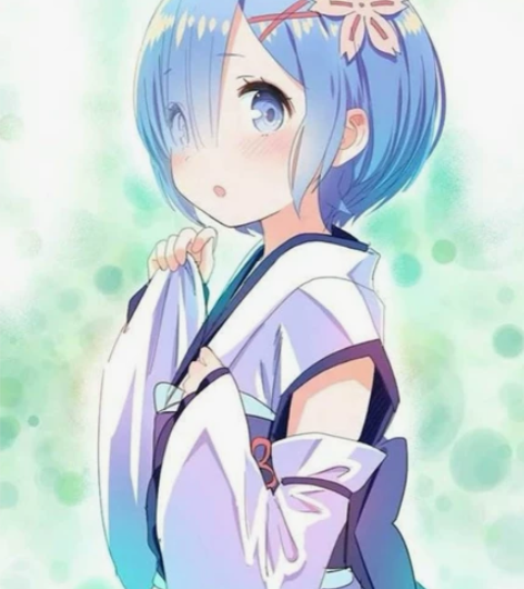 【出】 幼年蕾姆大全套s-l码  算是均码...