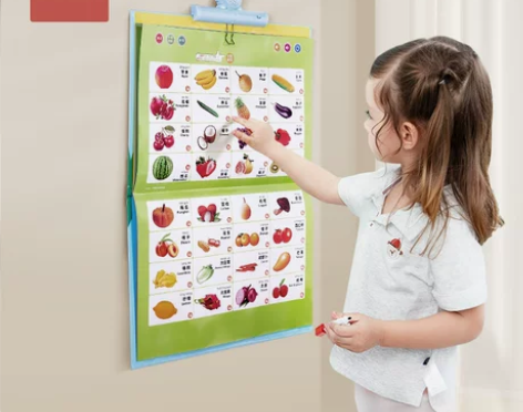 ?【38活动价】澳乐宝宝早教有声挂图拼音学...