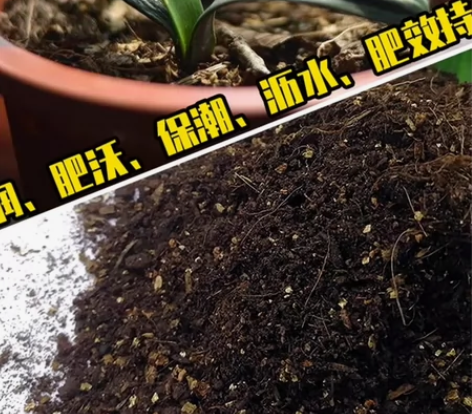 贵州山，纯天然，发酵松针腐植土松针发酵腐殖...