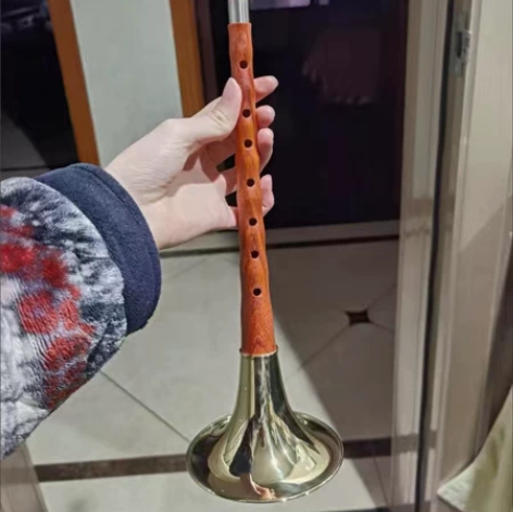 精品红木黑檀木唢呐 D或F调民族乐器初学专...