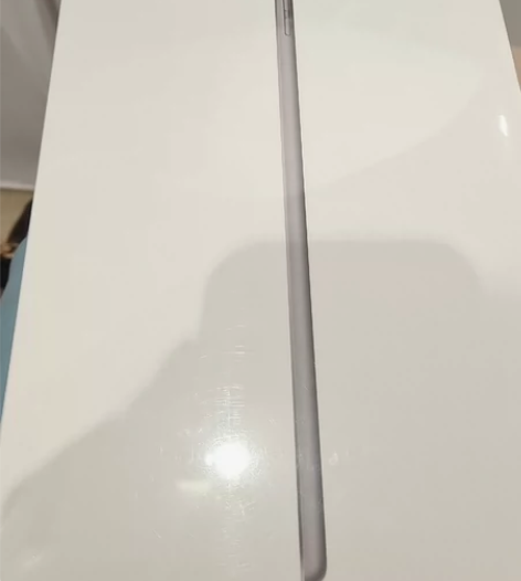 Apple/苹果 10.2 英寸 iPad...