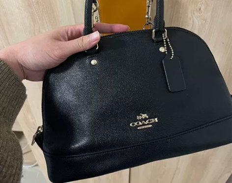 Coach小号贝壳包，18年购入，有使用痕...