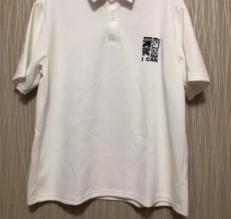 真维斯品牌，Polo衫 T恤，3xl码， ...