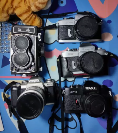 海鸥Df1胶片相机，不玩胶片了准备出，标价...