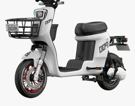 009新款外卖专用电瓶车锂电池长跑王新国标...