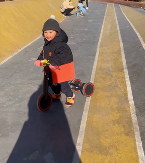 hape三轮可以变成平衡车 适合1-3岁?...