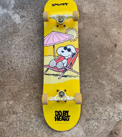 DBH滑板四轮动作专业双翘板男女生成人初学...