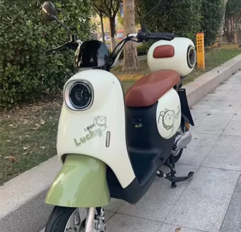 杭州同城转手新国标二手电瓶车，车子带黄牌正...