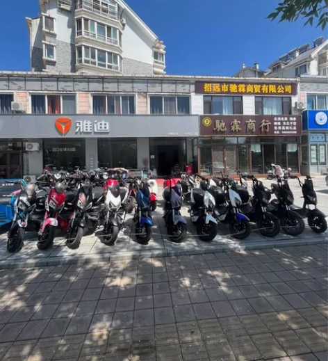 雅迪，爱玛，小牛，九号，台铃，祥龙，全系列...