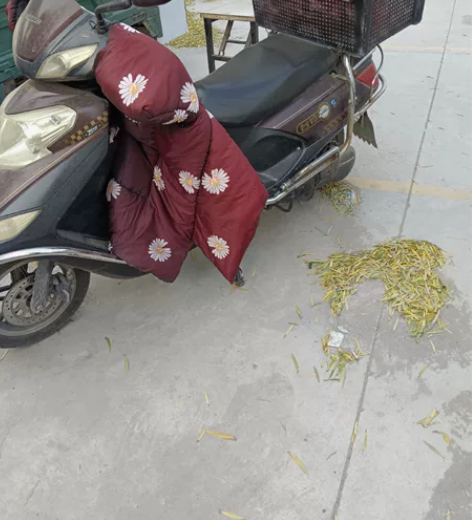 底价出售一辆、台铃电动车，一辆绿佳电动车都...