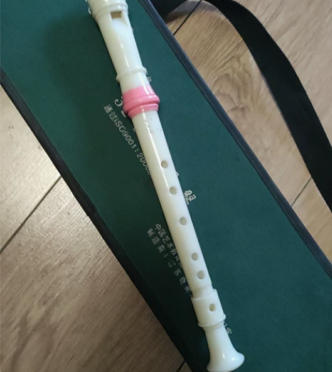 奇美口风琴 感兴趣的话点“我想要”和我私聊...