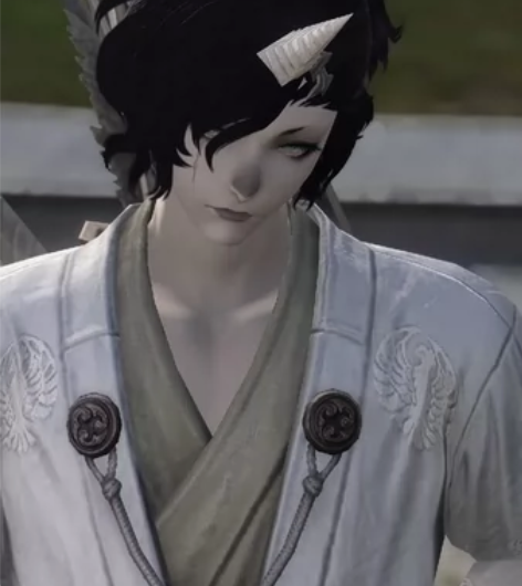 FF14 最终幻想14 兔男 维埃拉族 捏...