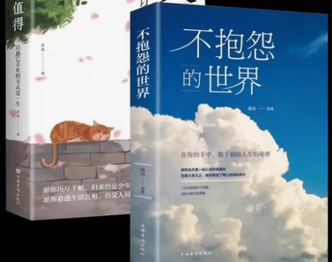 不抱怨的世界 正版现货 正能量青春文学成功...