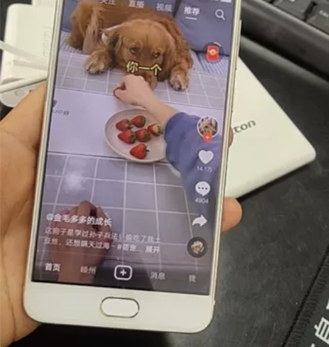 出一个vivo x7 骁龙652 4+64...