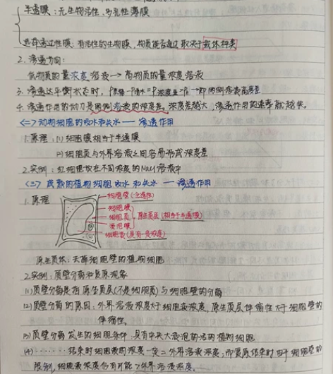 高中三年的生物笔记，知识点很详细。也会有一...