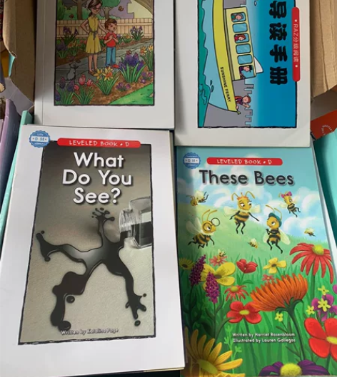 英语raz d e级别 98新(有铅笔痕迹...