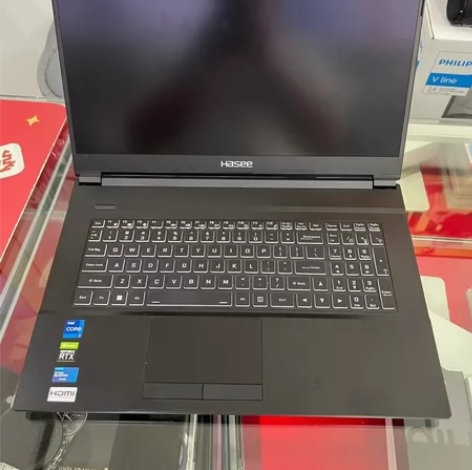 高配置性价比电竞本，神舟战神G8，17寸1...