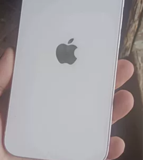 iPhone 13 【网络制式】全网通【版...