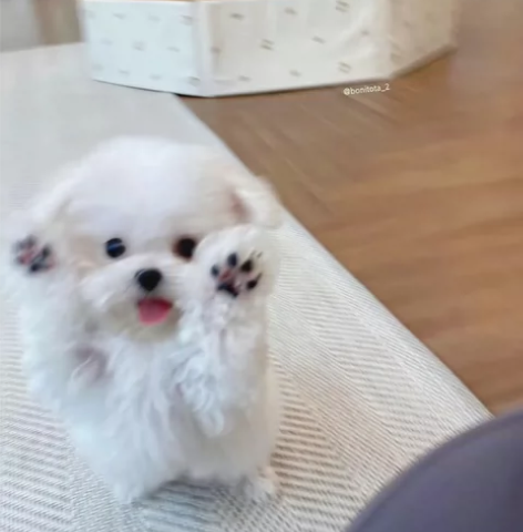 宜昌城区50块上门装电脑主机 西陵区 伍家...