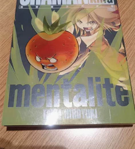 通灵王完全版公式书,也是第28卷,有微瑕疵...