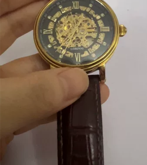 罗宾尼正品机械表男手表 原价1300买的，...