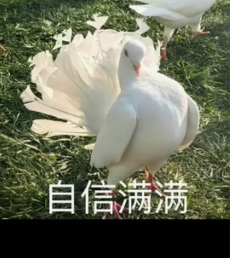 大乔新皮肤 感兴趣的话点“我想要”和我私聊...