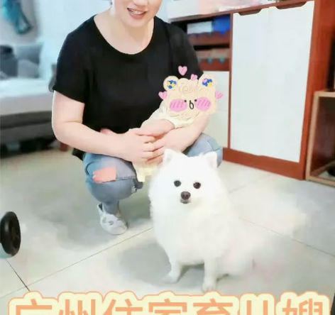 广州推荐6500+育儿嫂梅州客家人 【推荐...