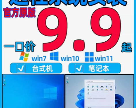? 远程重装系统WlN10/11/7专业笔...