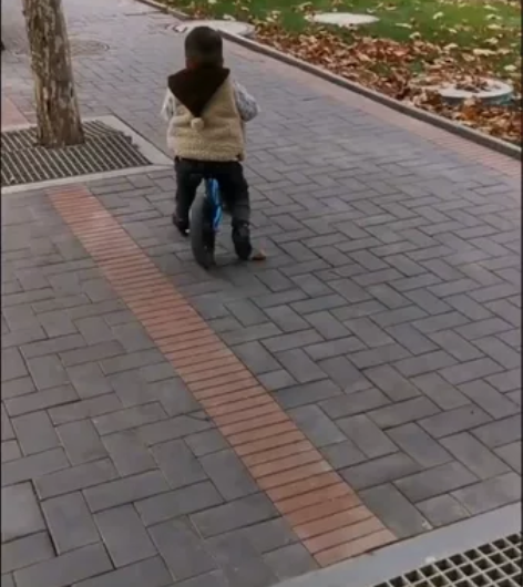 飞鸽平衡车 3-6岁儿童平衡车 孩子学自行...