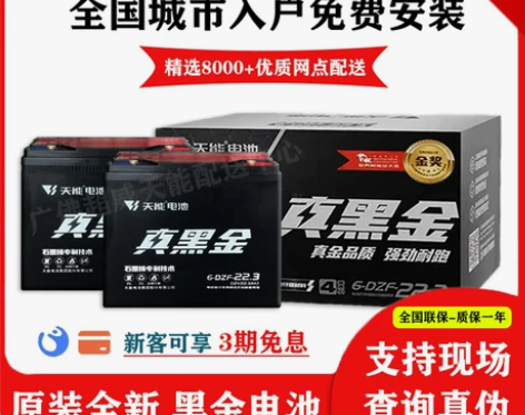 铅酸电池电动车 电动车铅酸三轮车天能黑金石...