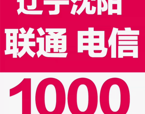 辽宁沈阳联通移动话费充值830元充1000...