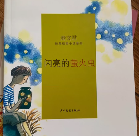 正版 励志校园小说·第二辑：学习也可以很快...