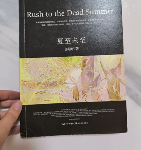 郭敬明的《夏至未至》 10r 书下方有笔迹...