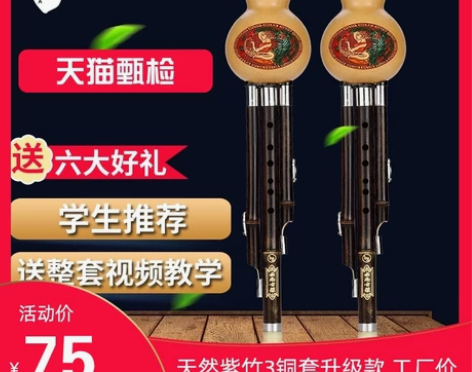 葫芦丝C调降B调儿童初学成人学生入门零基础...
