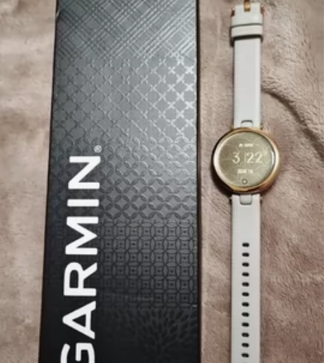 自用佳明（GARMIN）Lily活力版智能...