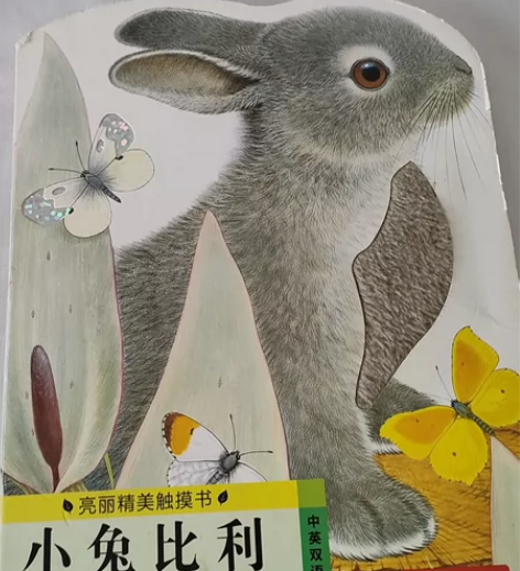 小兔比利(中英双语)/亮丽精美触摸书系列 ...