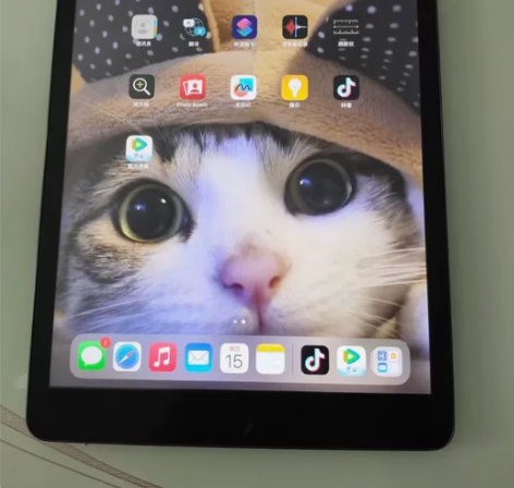 自用ipad 2020款128g第八代 女...