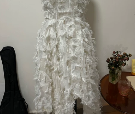 立体裁剪 立裁 服装设计作业 不退换 感兴...