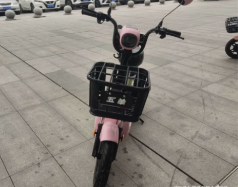 48V12A大品牌五羊电动车颜色好看，可爱...
