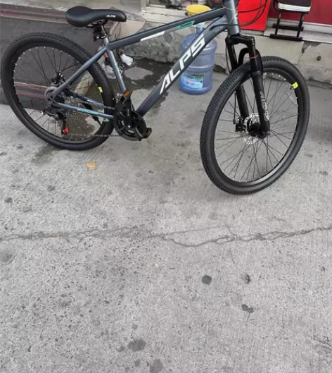 全新车 品牌 阿尔卑斯 专业给凤凰品牌代加...