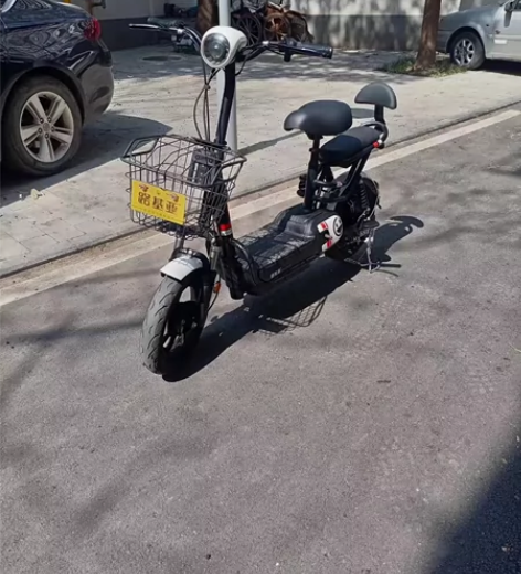 平时自家用的路基亚品牌电动车,成色如图很新...