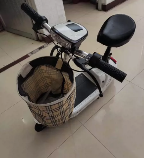 闲置迷你电动车，电瓶12V24安的，带充电...